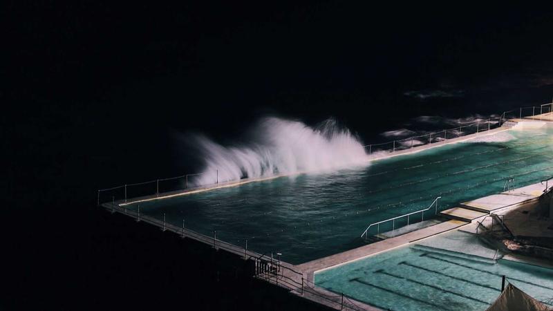 薏米养生全攻略：从选购到保存的黄金法则