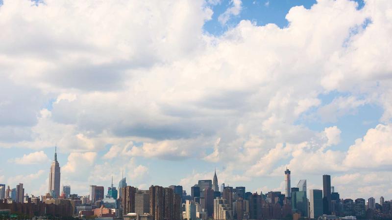 蜂蜜：天然养生瑰宝的全面解析——从成分到食疗应用