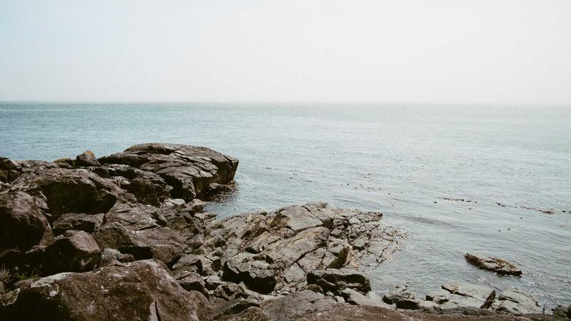 气血双补指南：中医食疗让面色红润、精力充沛