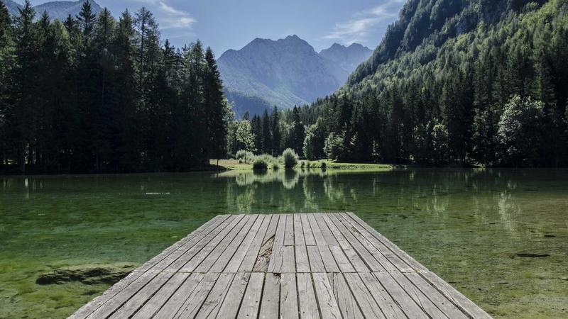 黑芝麻：千年养生瑰宝的现代科学解码