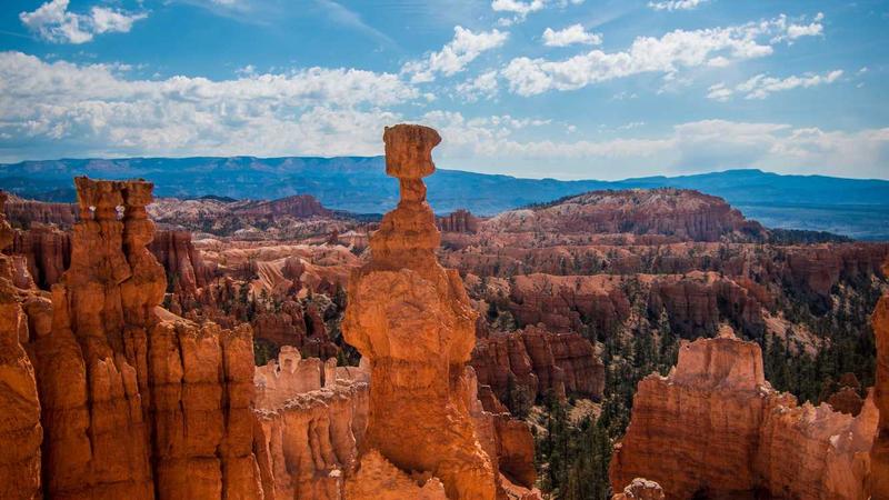 阴虚体质必看！饮食禁忌与食疗调养全攻略