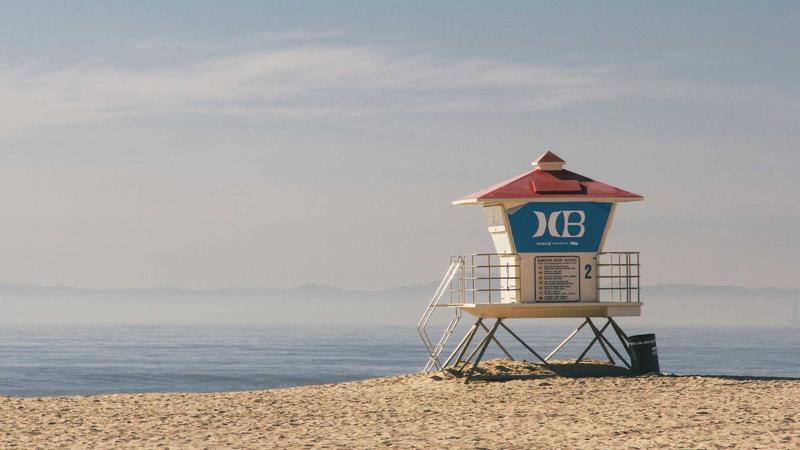 中医食疗解秘：通便润肠的饮食调理全攻略