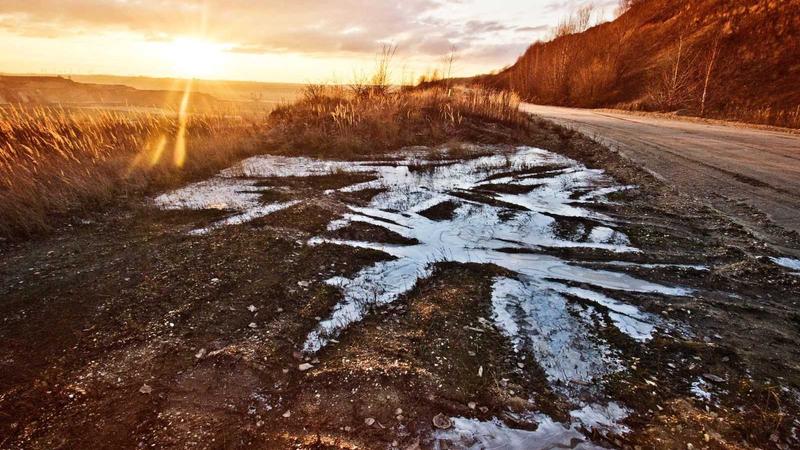 百合疏郁方：中医食疗调理气郁体质的5大黄金方案