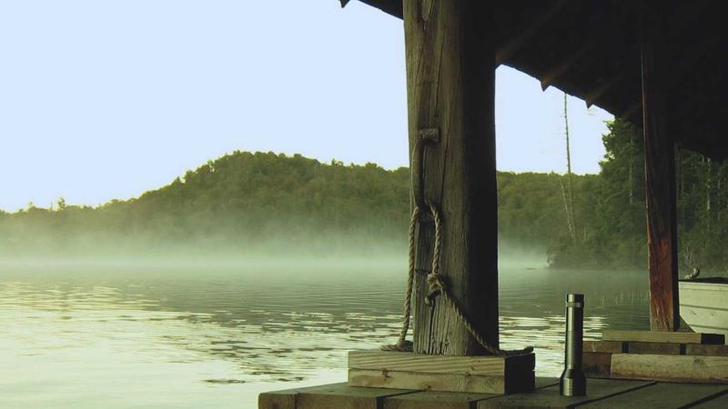 红枣养生全攻略：从选购到保存的食疗智慧