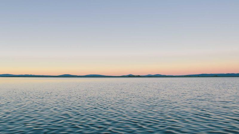 百合养生全攻略：润肺安神、美容养颜的千年食疗智慧