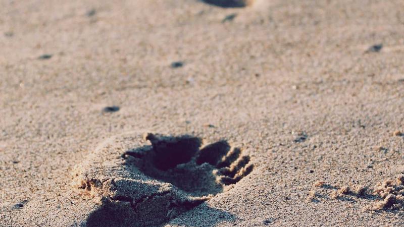 睡不好？中医食疗助你告别失眠体质，从内到外调养身心