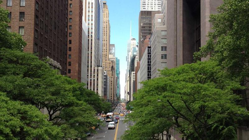 春风润肺正当时：5款时令食谱唤醒肺腑生机