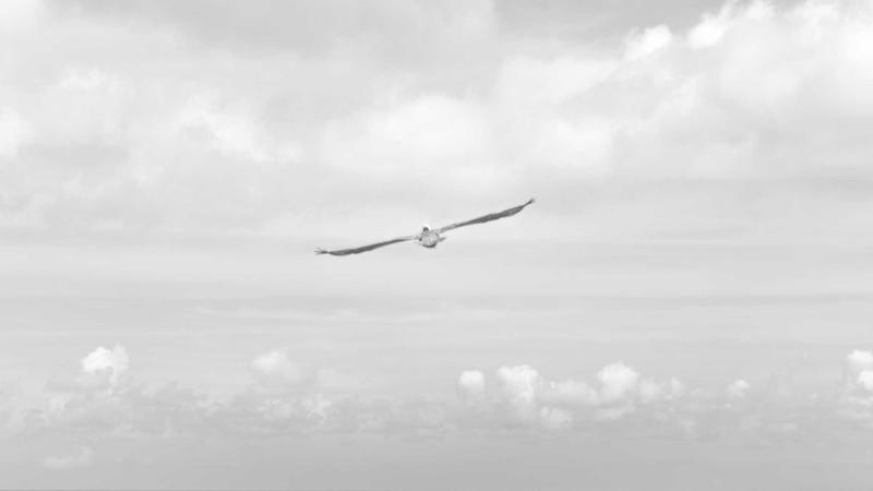 冬季进补新选择：薏米煲汤的祛湿暖身秘籍