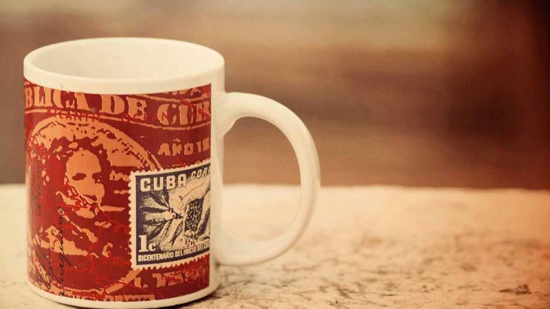 当归养生新主张：平和体质的四季食疗秘籍