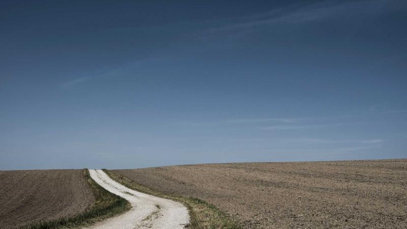 痰湿体质必看！5道祛湿健脾食谱，从根源改善油腻感