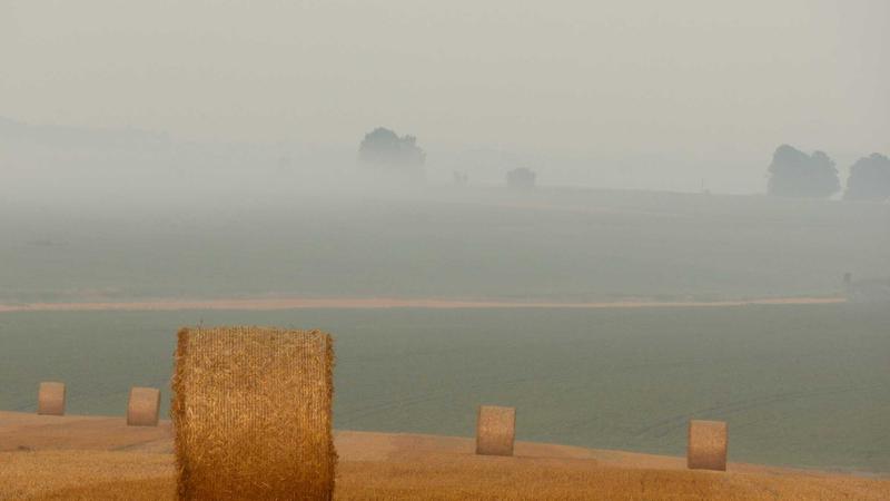 红枣养生全攻略：千年补益圣品的科学吃法与禁忌