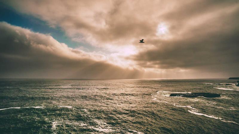 感冒食疗全攻略：科学饮食加速康复，这些食材必吃！