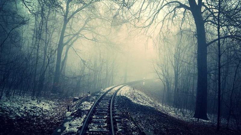 古方新用：八珍汤现代改良版，气血双补的养生新选择