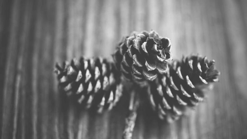 痰湿体质必看！中医食疗5步调理法，祛湿健脾轻松瘦