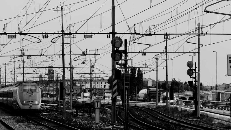 枸杞养生全攻略：功效、禁忌与科学食用指南