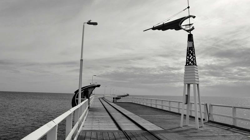 秋季润燥养脾秘籍：一锅归脾汤，暖身更暖心