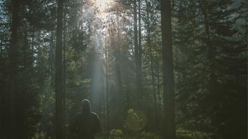 阳虚体质必看！寒从口入？这5类食物让你越吃越虚