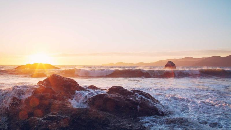 春日养肾正当时：5道时令食谱唤醒肾脏活力