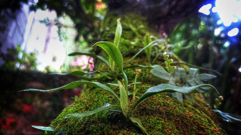 高血脂不用慌！中医食疗5大黄金法则，科学调脂更健康