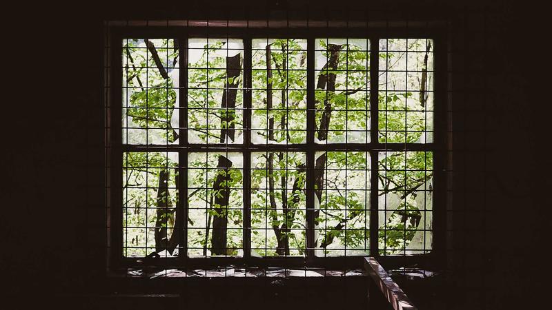 贫血必看！中医食疗调理全攻略：从根源改善气血不足