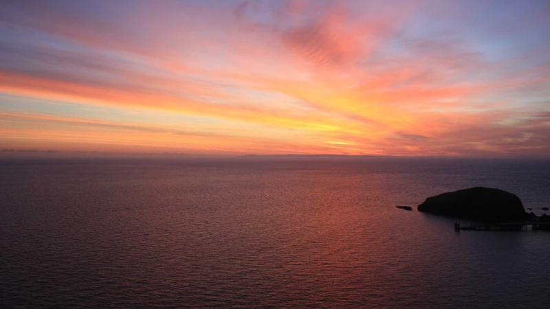 黄芪巧配祛湿热：中医食疗方助你清爽一夏