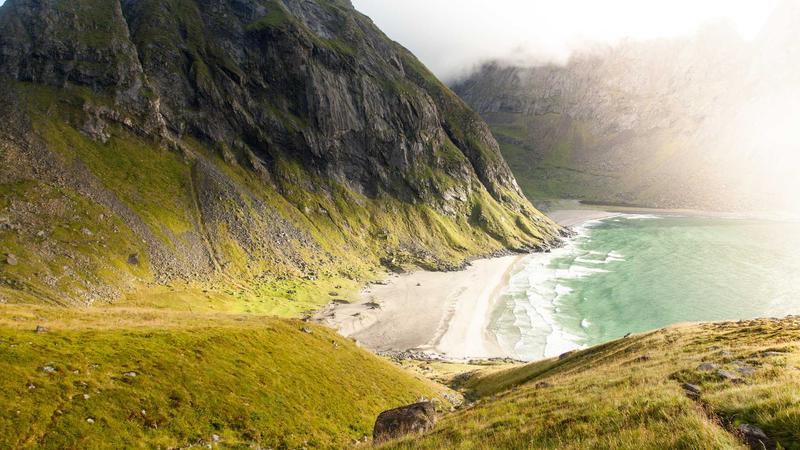 千年补气圣品人参：解锁现代食疗养生的科学密码