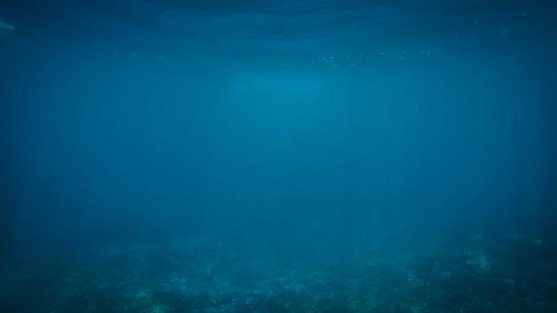 春日润燥养心秘籍：解锁百合的5种黄金吃法