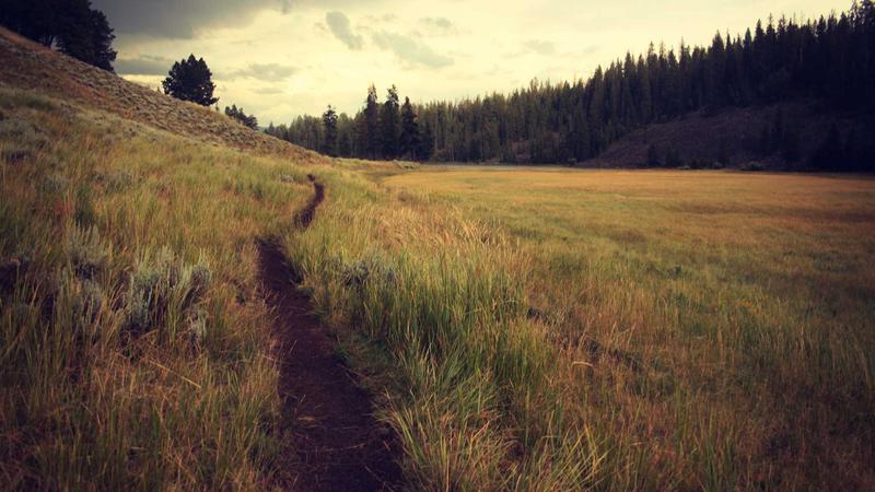 核桃：千年养生智慧与现代科学的双重认证