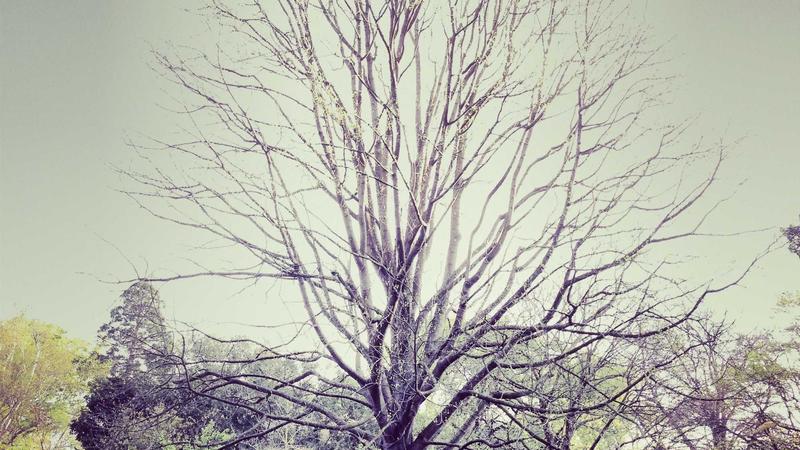 平和体质的黄金饮食法则：四季调和，养出自然健康态