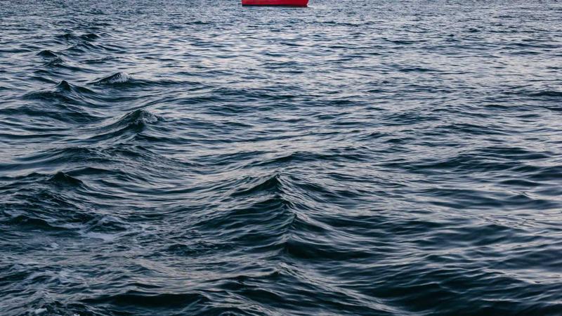 红枣养生全攻略：6种吃法吃出好气色，中医教你科学搭配！