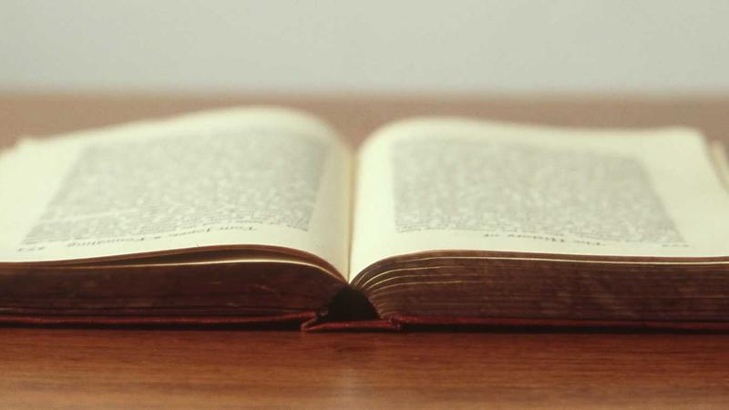 桂圆养生汤：秋冬滋补的暖心药膳，安神补血一步到位