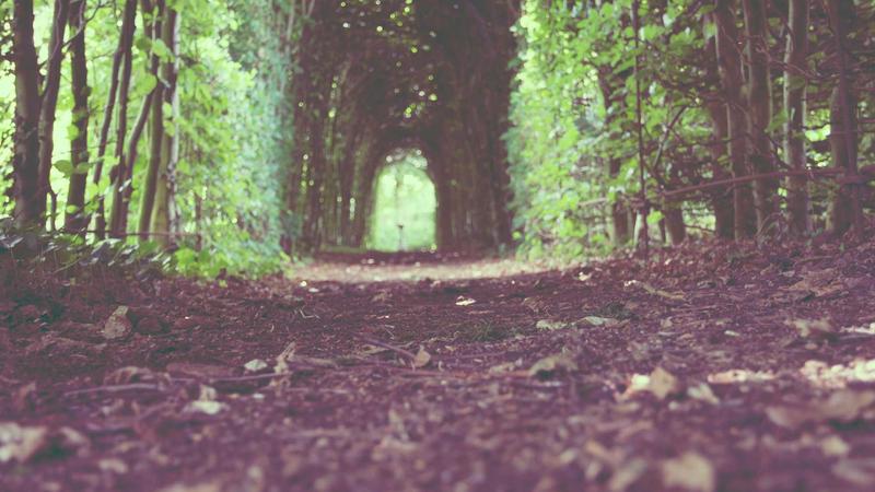 冬季养肝黄金期：5道暖身食疗方，温补肝肾不上火