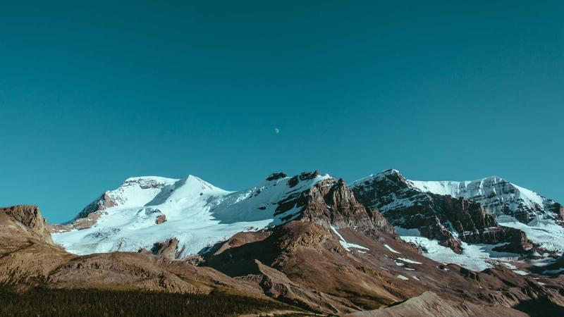 千年养生圣品：莲子——从古籍智慧到现代科学的健康密码