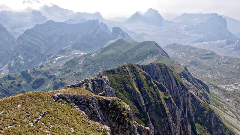 春补黄金期：黄芪煲汤的养生智慧与四季调理秘籍