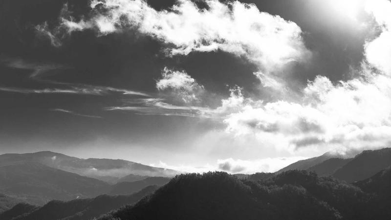 春日养脾黄金期：5道时令食谱唤醒脾胃活力