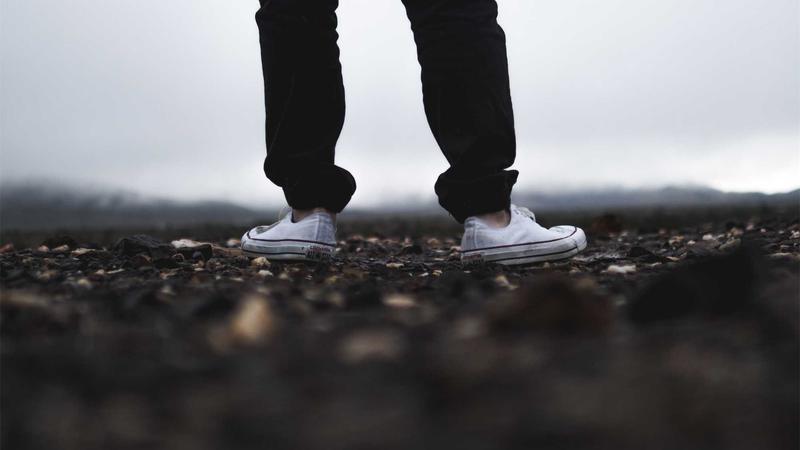 当归养生全攻略：6种吃法解锁气血双补的千年智慧