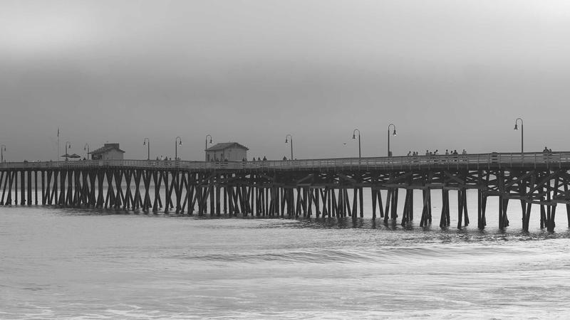 黑芝麻：千年养生圣品的营养密码与食疗秘籍