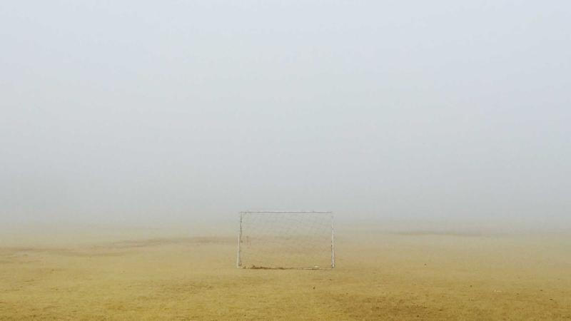 百合养生汤：润肺安神的家庭药膳秘籍