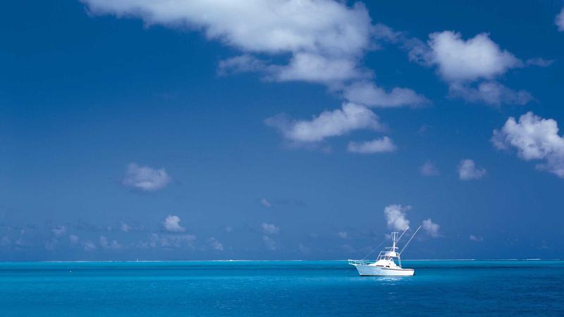 冬季进补黄金搭档：六味地黄丸食疗化应用全解析