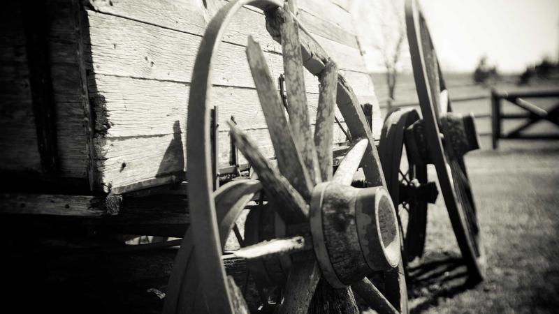 蜂蜜润肺止咳全攻略：中医视角下的天然疗愈法