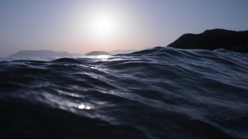 贫血康复期必看！中医食疗助你快速补回气血