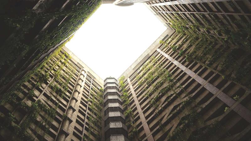 春分养生黄金期：中医食疗调和阴阳，唤醒春日生机