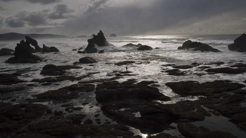 气郁体质必看！饮食调理指南：避开禁忌，吃出好心情