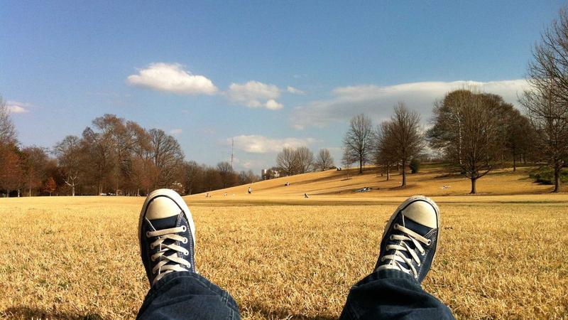 莲子养生全攻略：6种吃法解锁千年滋补智慧