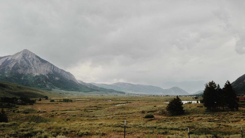 五色食疗法揭秘：绿色食物如何科学滋养脾胃？