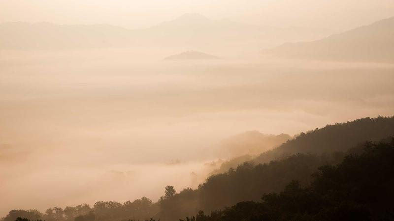 白色食物养心全解析：五色食疗中的科学护心密码