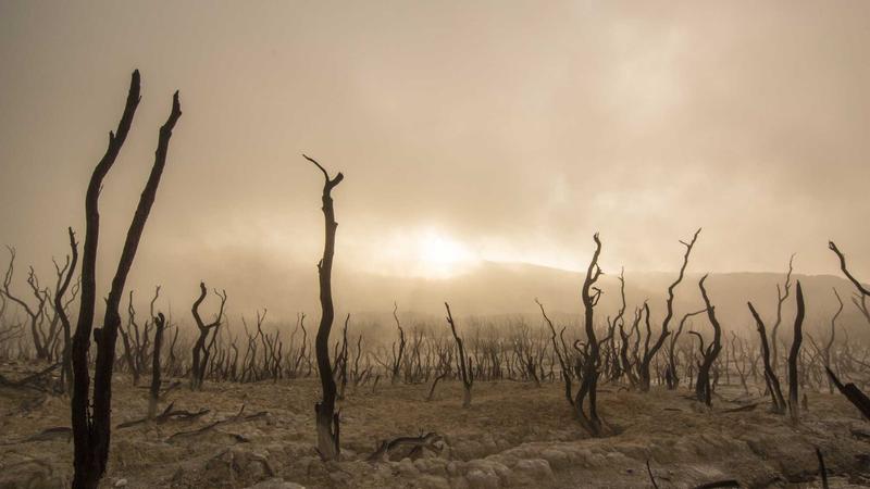 感冒康复期必看！中医食疗助力元气快速恢复