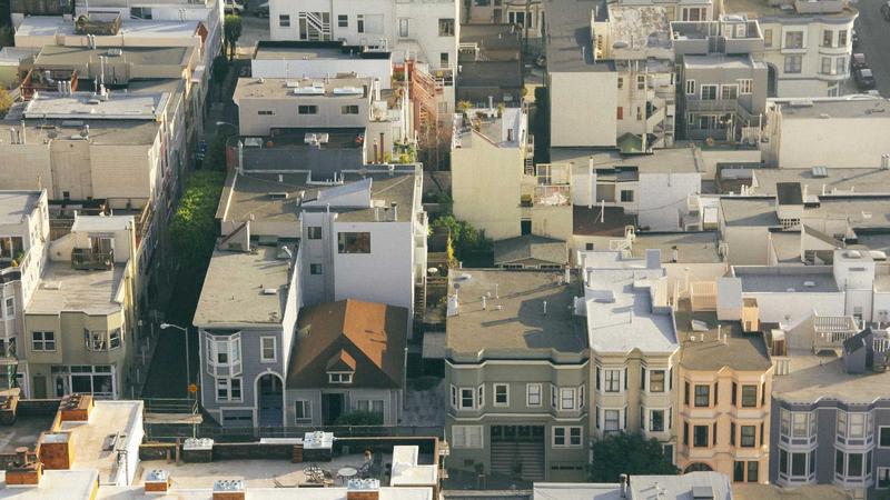 千年补气圣品：人参的食疗养生全攻略