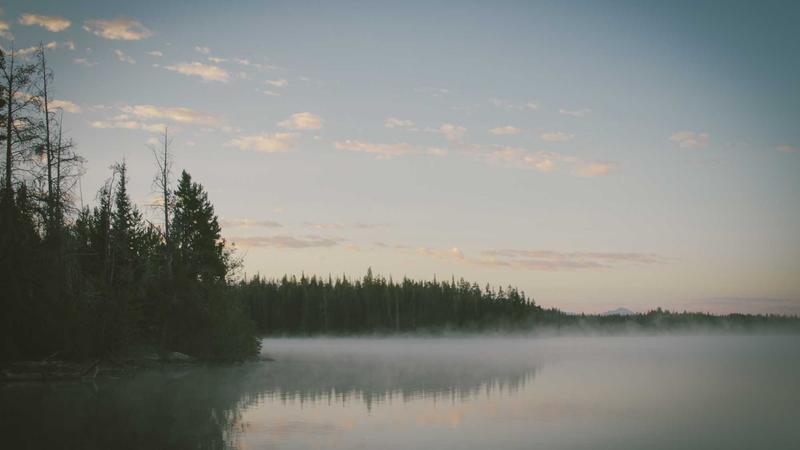 五色食疗法揭秘：黄色食物如何科学养肝？