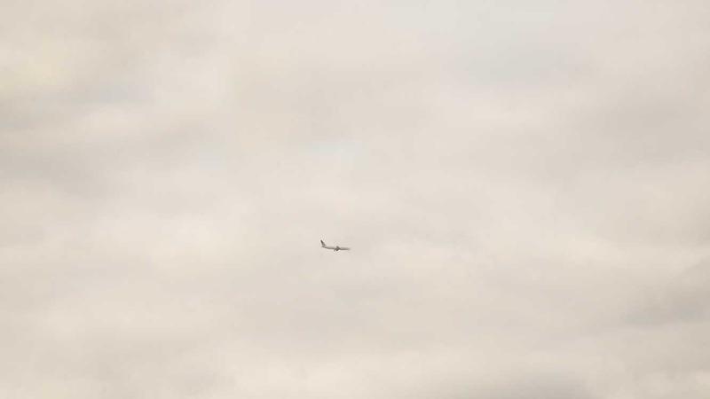 冬日暖身秘籍：桂圆煲汤的5大养生功效与进补指南